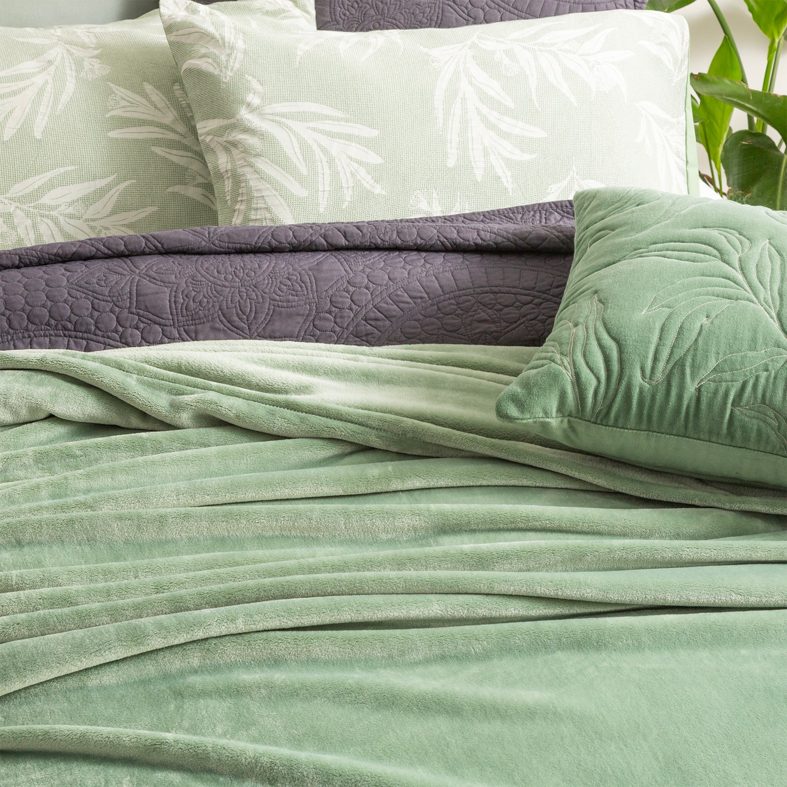 Renee Taylor Plush 380 GSM Ultra Soft Velvet Blanket Queen/King Eucalyptus