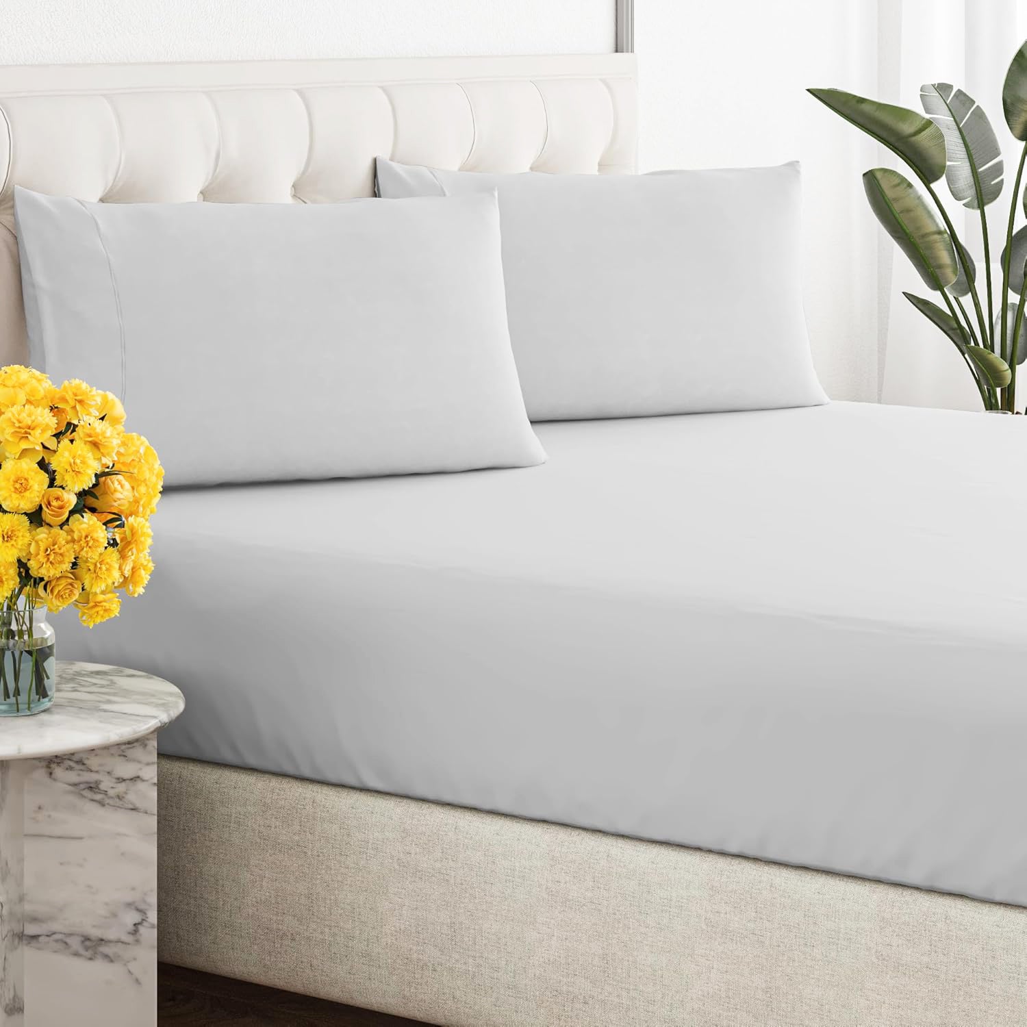 Renee Taylor 300 Thread Count 100% Organic Cotton Fitted and Pillow Case Set Double Vapour