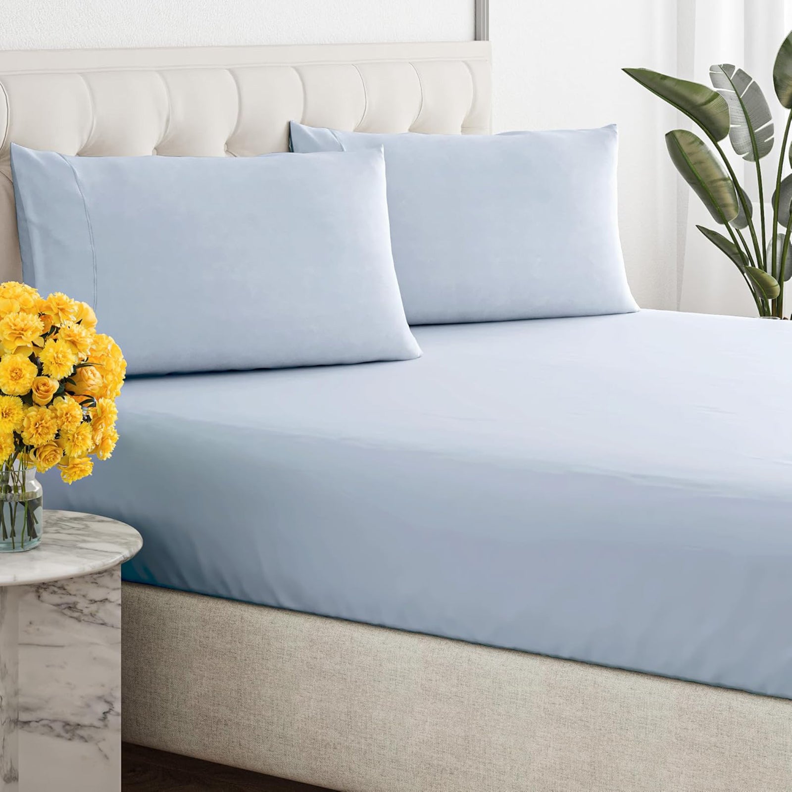 Renee Taylor 300 Thread Count 100% Organic Cotton Fitted and Pillow Case Set Queen Baby Blue