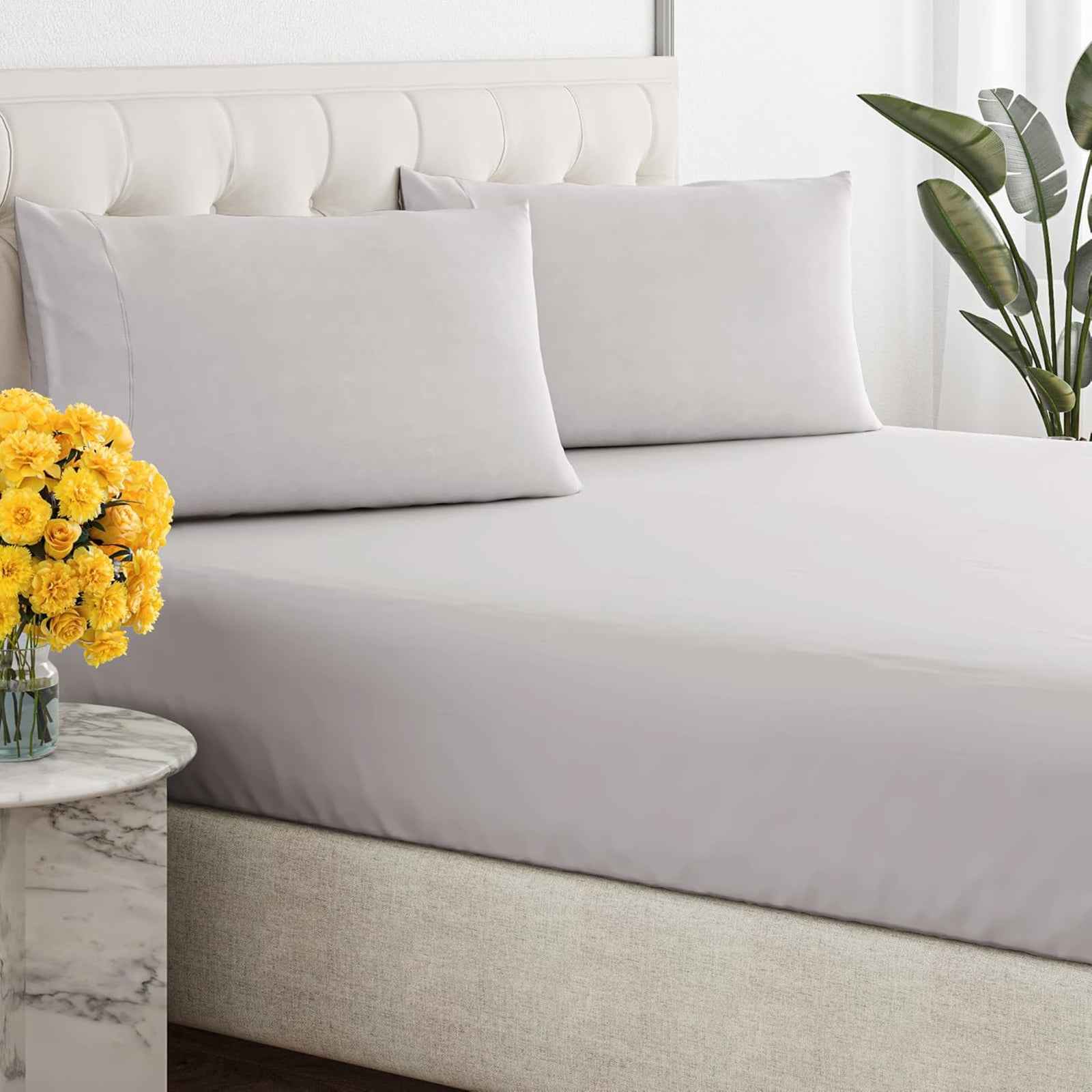 Renee Taylor 300 Thread Count 100% Organic Cotton Fitted and Pillow Case Set Double Moonbeam