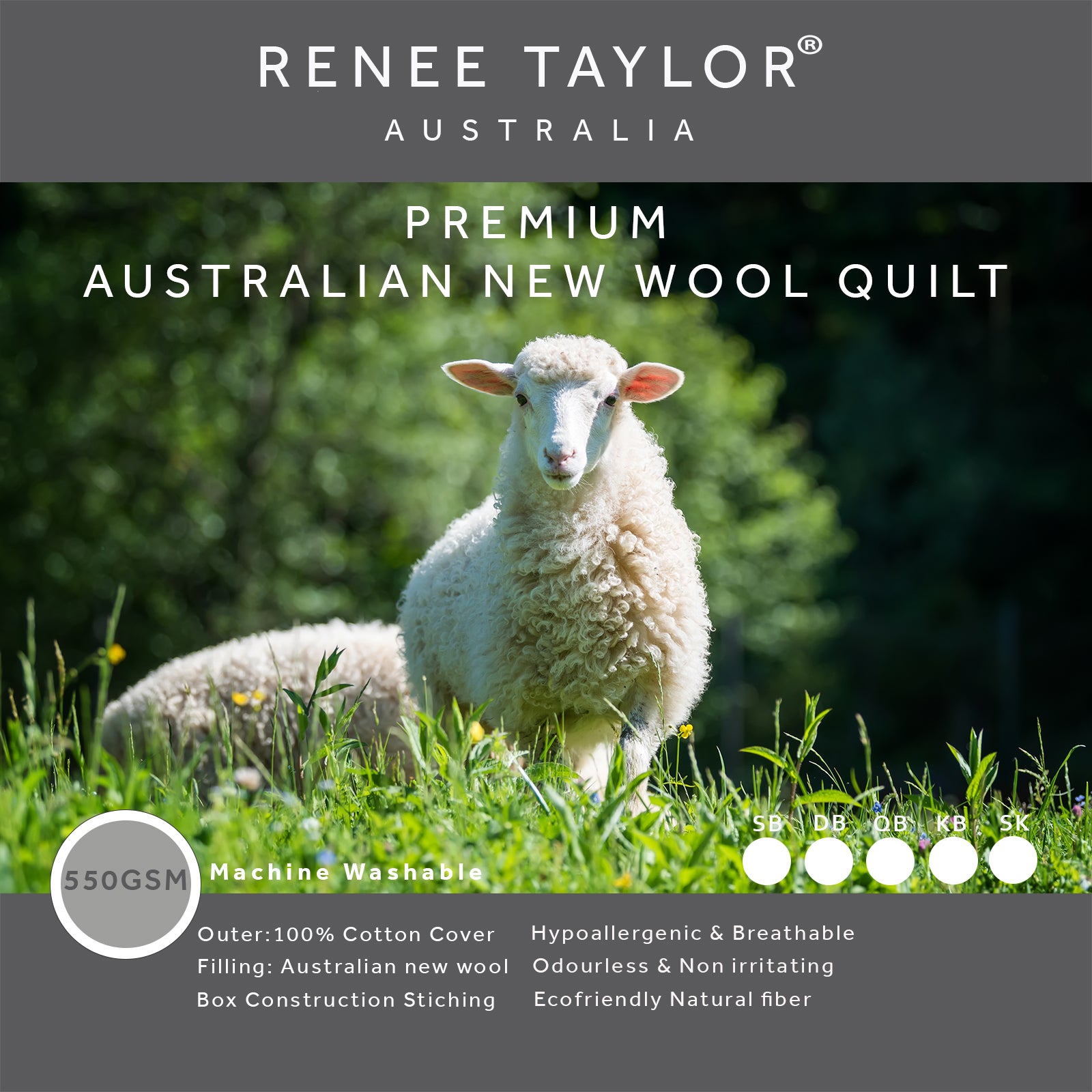 Renee Taylor Premium Australian Wool Quilt 550 GSM