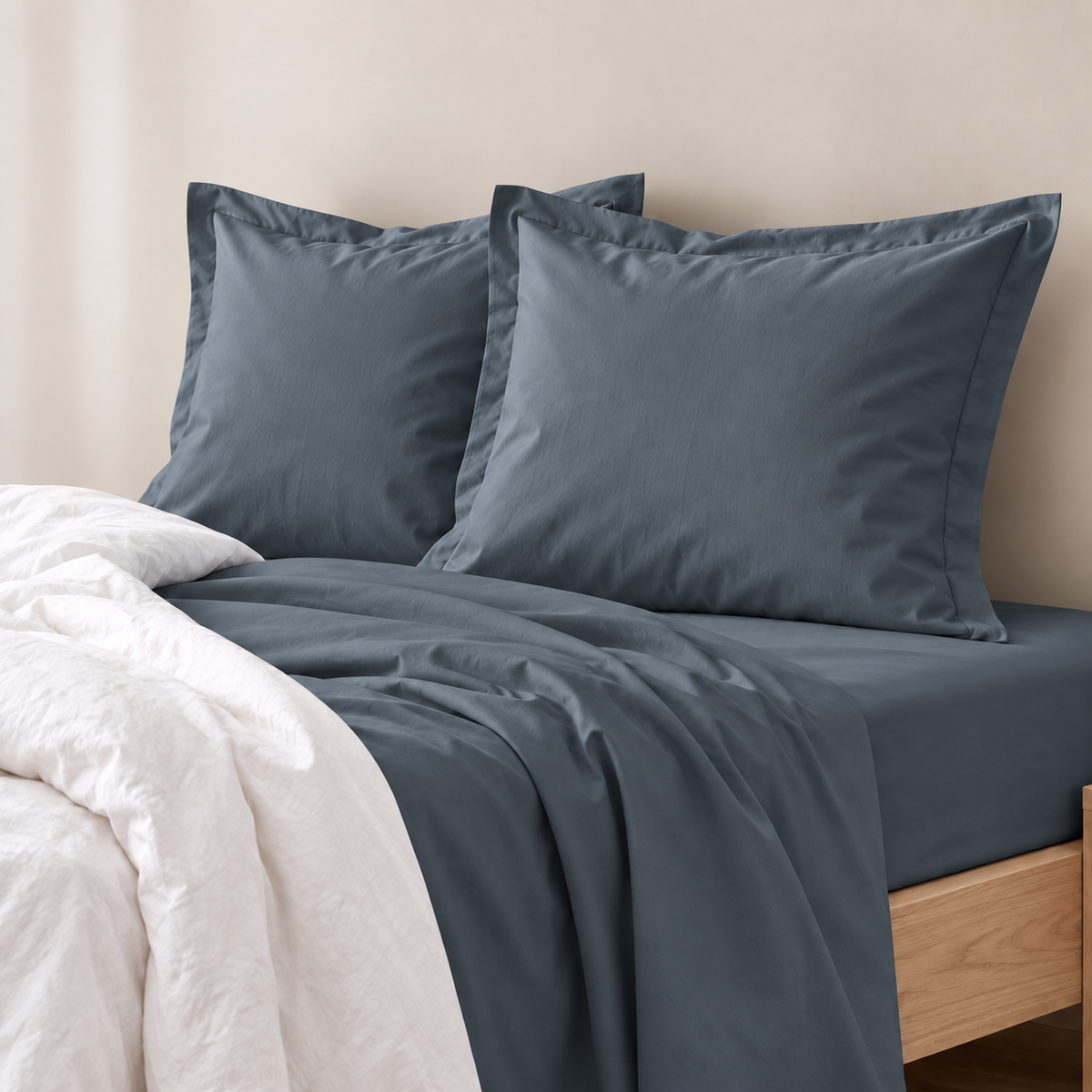 Renee Taylor 400 Thread Count Egyptian Cotton European Pillow Case