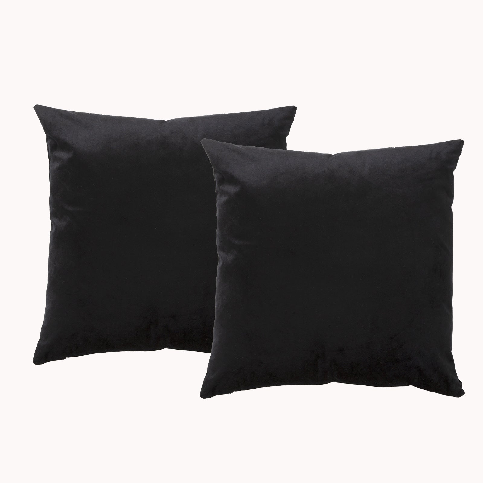Renee Taylor Poly Velvet Printed Cushion filled 50 x 50 Cms Black Beauty