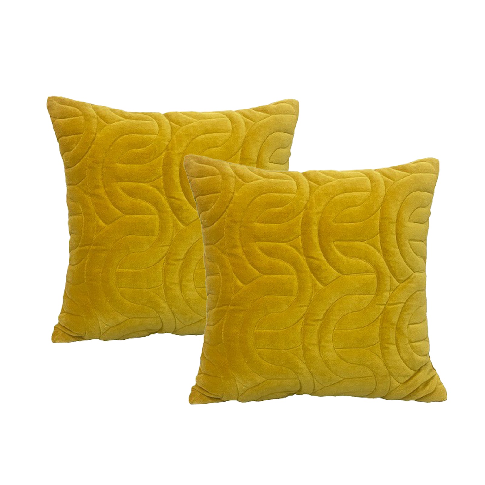 Cloud Linen Cotton Velvet Embroidered Cushion 50 x 50 Cms Feather Filled Roma Gold -Twin Pack