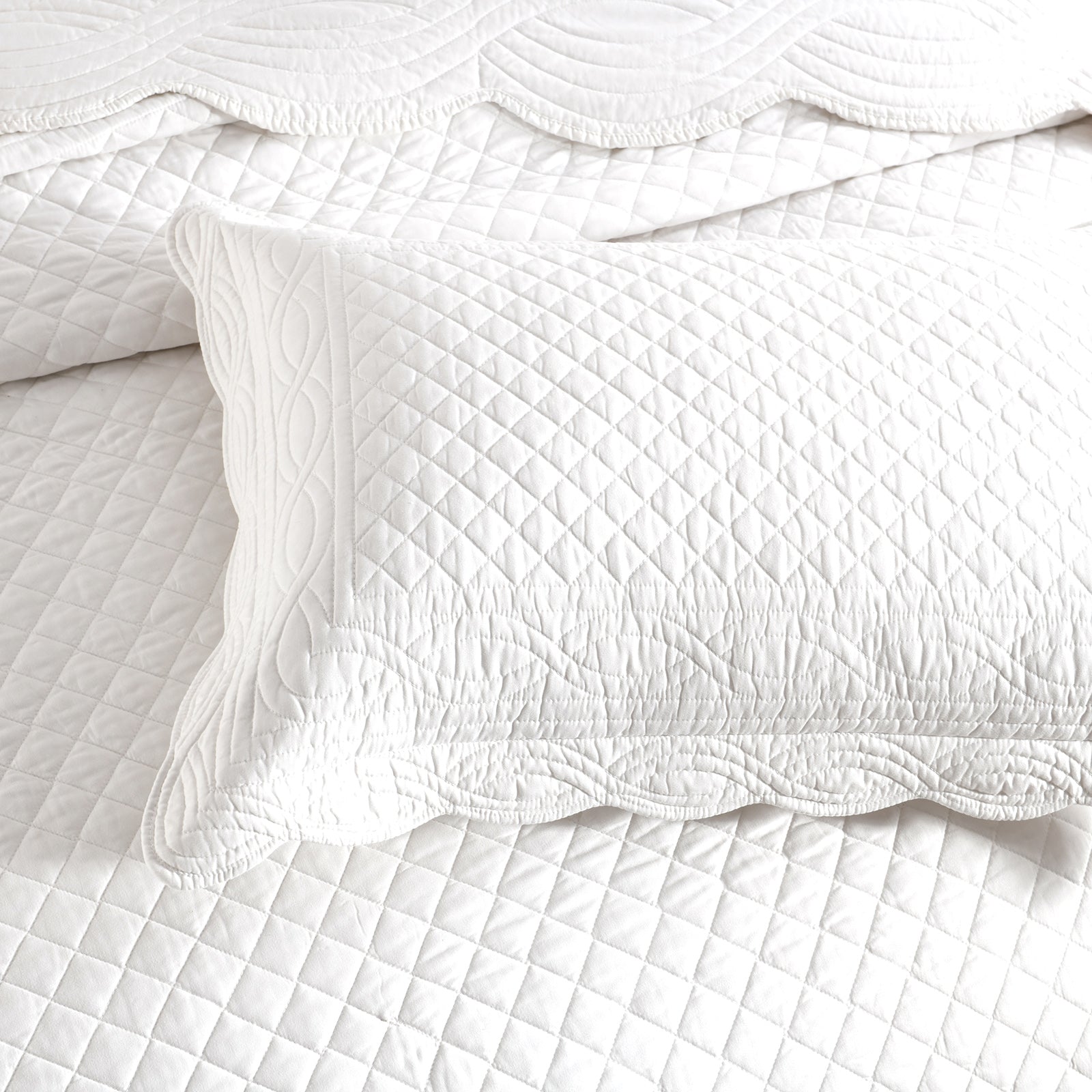 Renee Taylor Scallop Jacquard