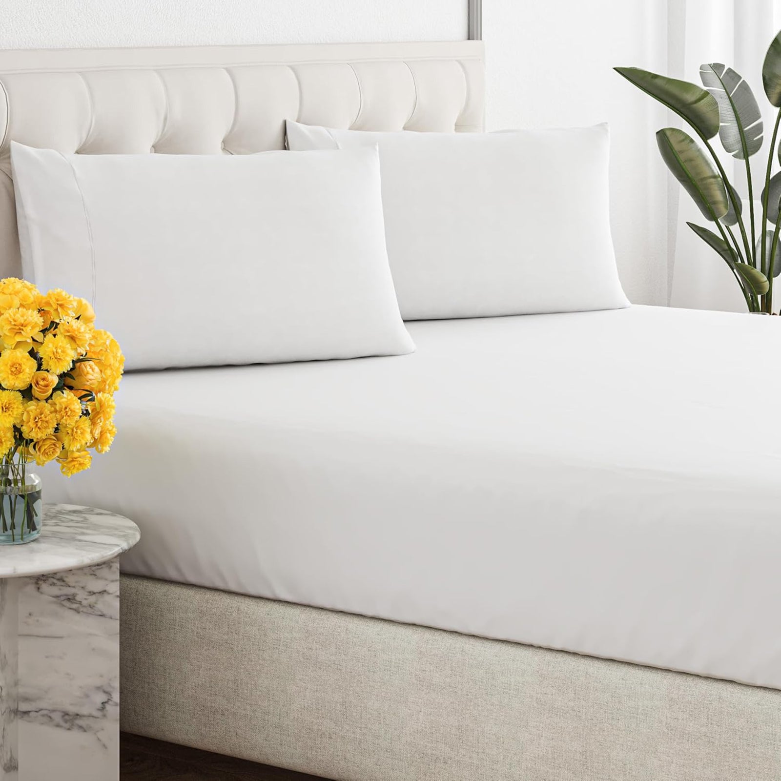 Renee Taylor 300 Thread Count 100% Organic Cotton Fitted and Pillow Case Set King Single White