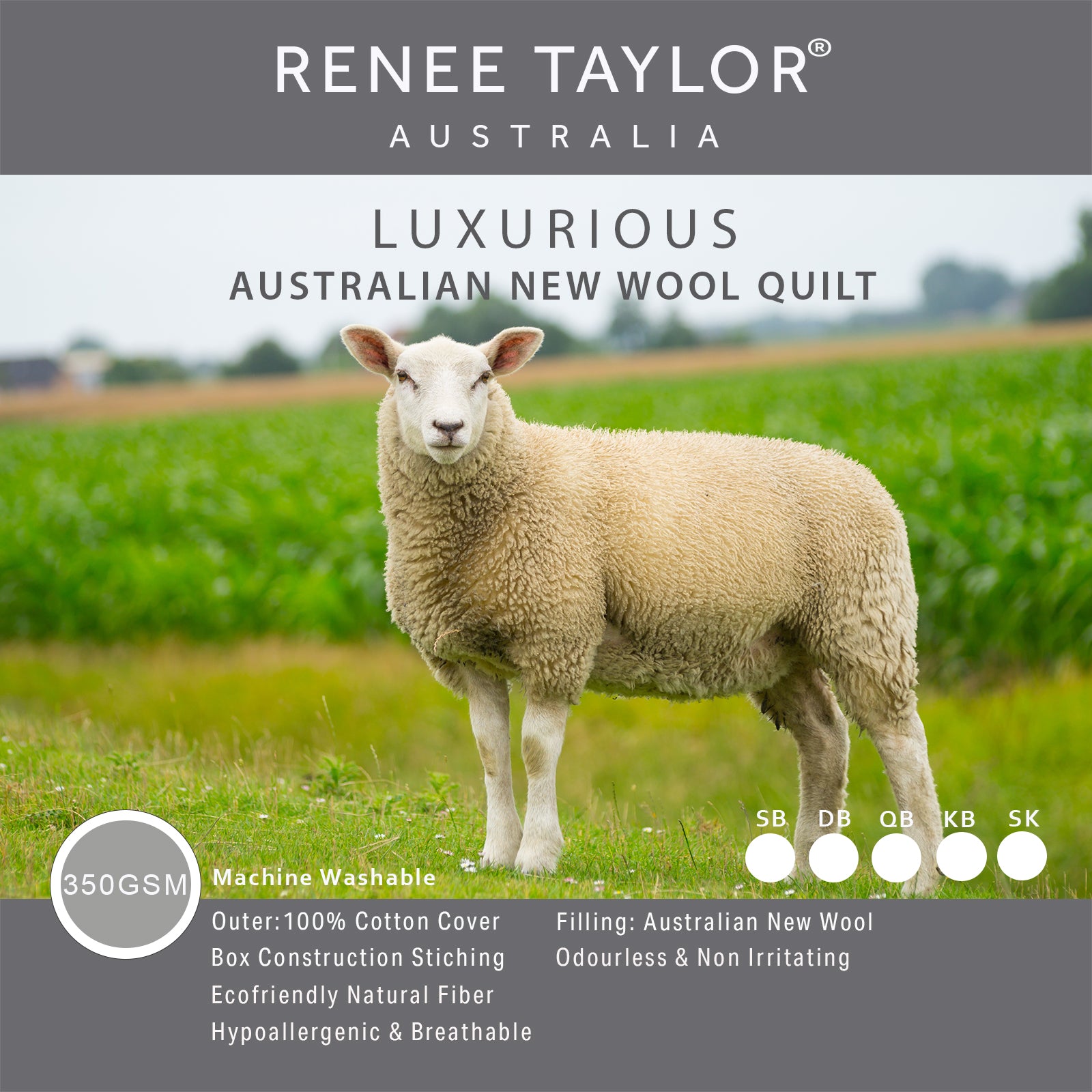 Renee Taylor Luxurious Australian Wool Quilt 350 GSM King