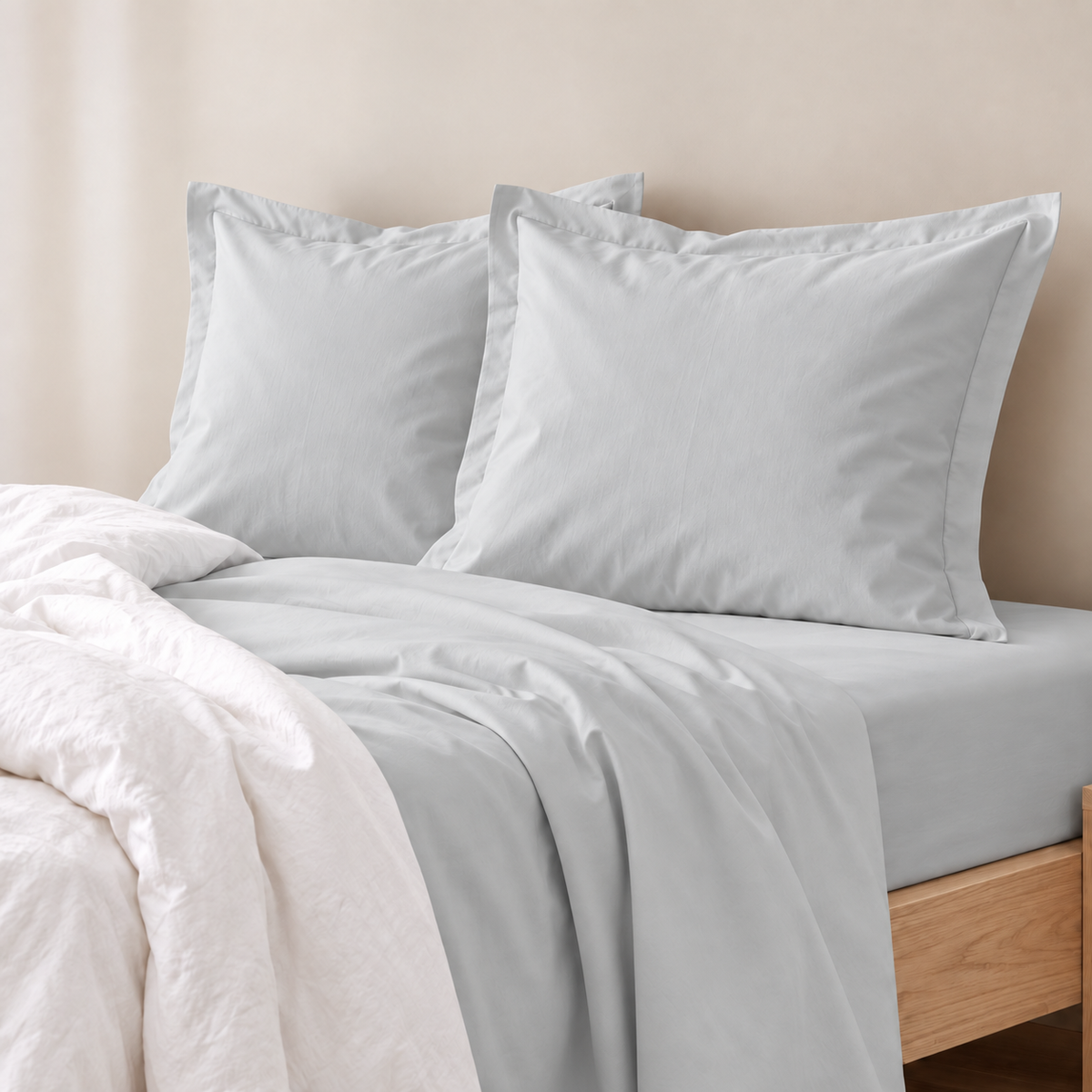 Renee Taylor 400 Thread Count Egyptian Cotton European Pillow Case