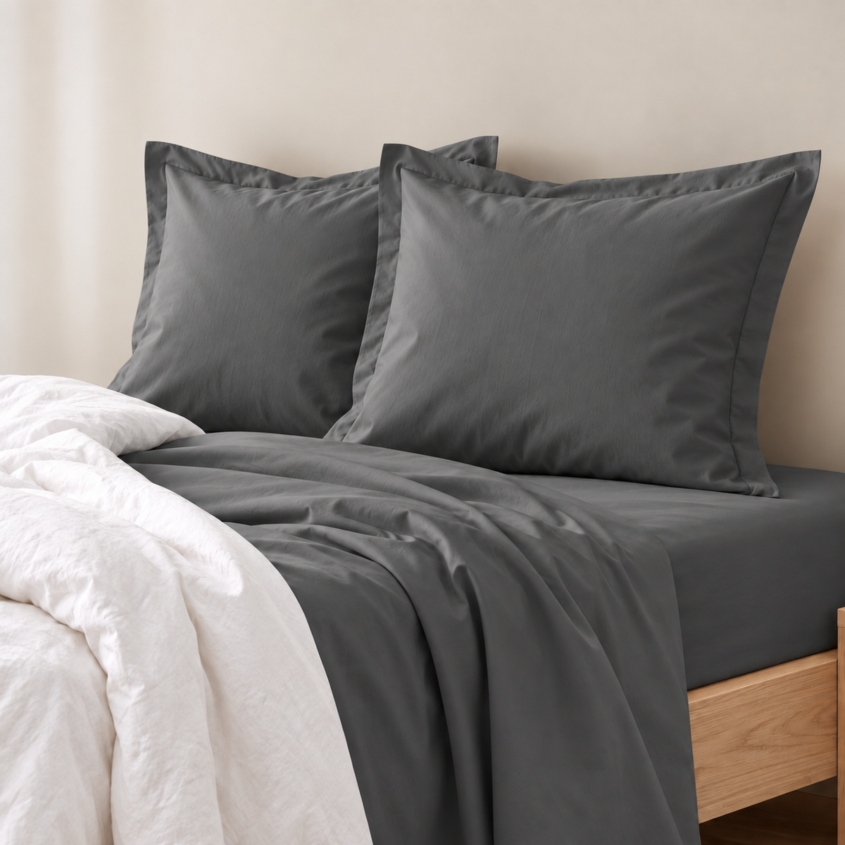 Renee Taylor 400 Thread Count Egyptian Cotton European Pillow Case