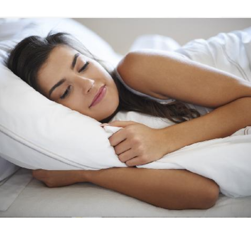 Revive Living Classic Memory Pillows